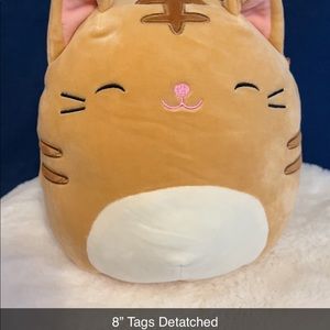 8” Nathan the cat squishmallow